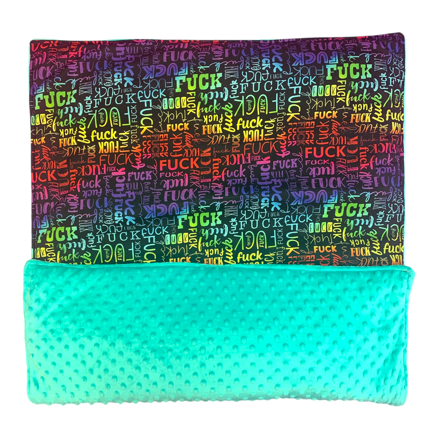 Hundedecke Softshell F*ck Regenbogen /Minky Mint ca. 100x70 cm