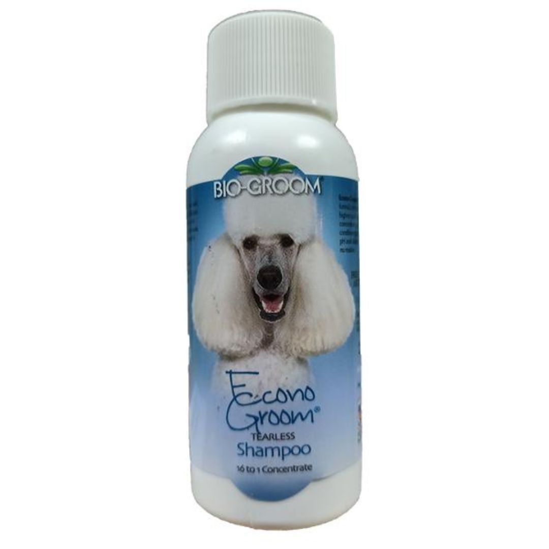 Bio Groom 60ml Econo Groom Tränenfrei Shampoo Reisegröße