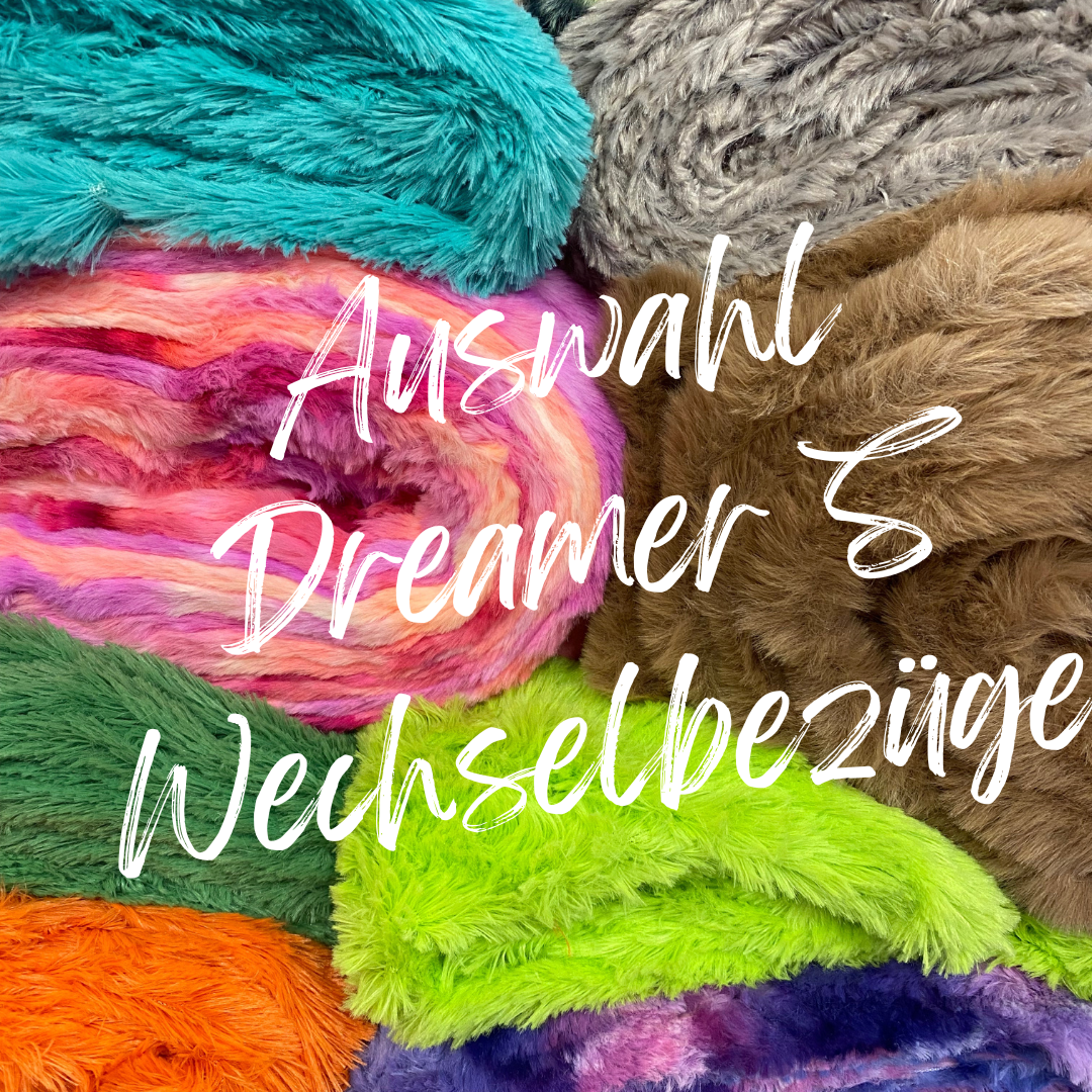 Dreamer S Wechselbezüge