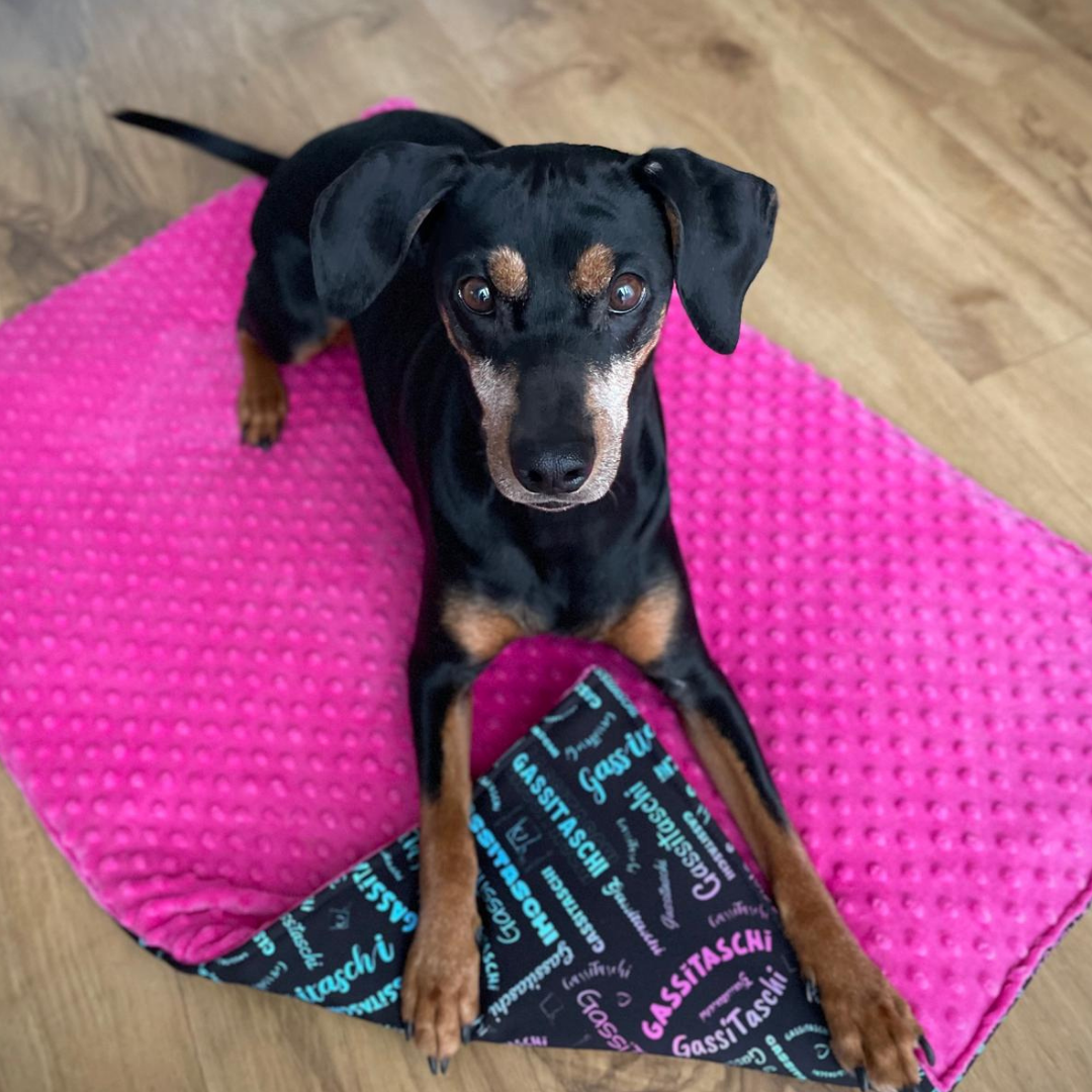 Hundedecke