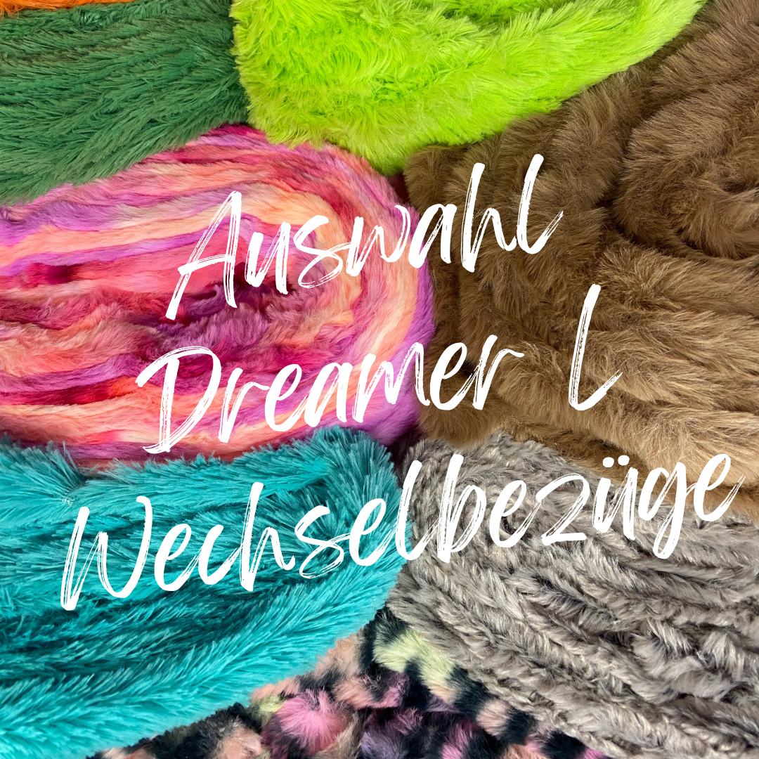 Dreamer L Wechselbezüge